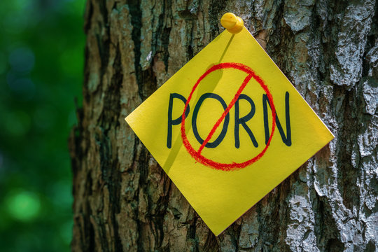 on tree bark stickers with NO PORN inscription