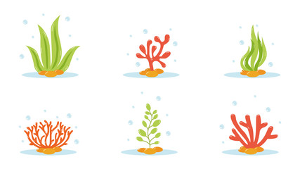 Set of cartoon underwater plants and creatures. Vector isolated corals and algae.
