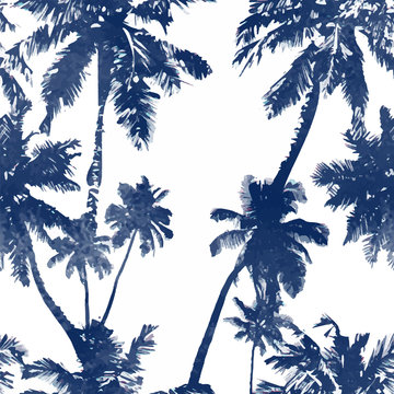 palm beach background