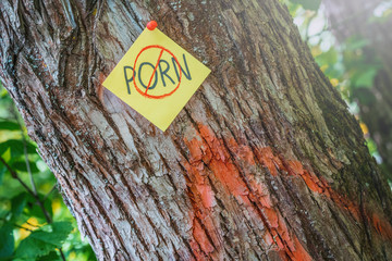 Naklejka premium on tree bark stickers with NO PORN inscription