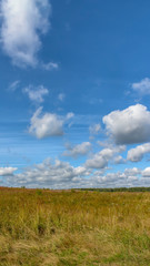 Obraz premium Wallpaper for the screens of the phone, smartphone.