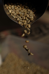 coffee green