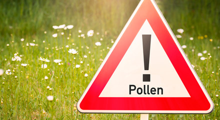 Warning sign with text Pollen in front of a flower meadow as an indication of possible allergies