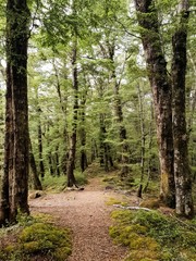 all photos are entirely shot during my South Island exploration in New Zealand 