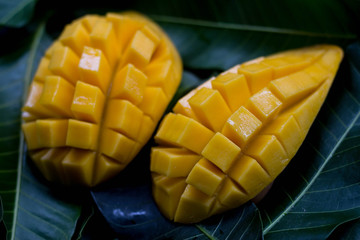 Delicious golden mango fruit on  green leaf background. Ripe yellow Barracuda mangos. Tropical fruit in Thailand.