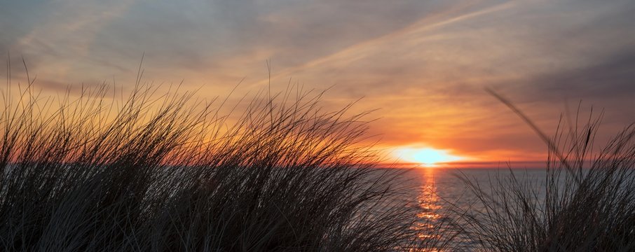 beach grass panorama at sunst