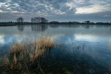 A beautiful shot of a frozen lake with dry reeds, trees on the horizon and evening sky