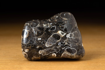 Turritela agate gemstone from Morocco over a wooden table