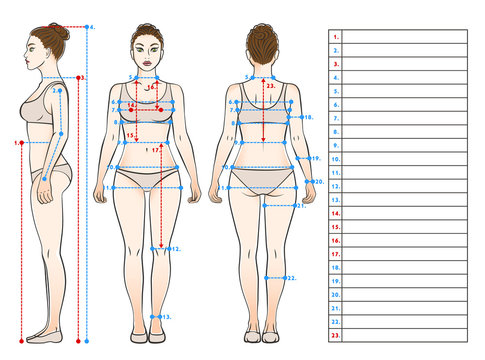 Woman in underwear view from front, side and back. Scheme of measurement of the human body. Table for entries.