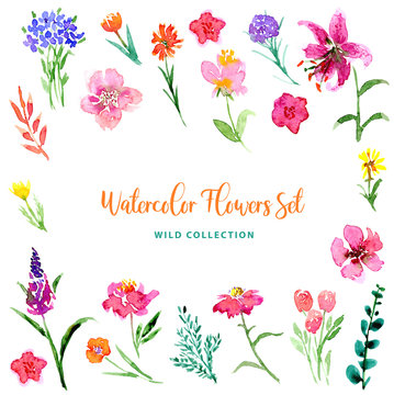 Wild watercolor little gentle flowers and leaves collection. Loose style floral set. Isolated images of pink, red, blue, yellow, orange. For print, pattern, textile, wallpapers, invitations, cards