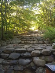 보이지 않는 가장 위쪽에서 내려오는 계곡물과 돌계단