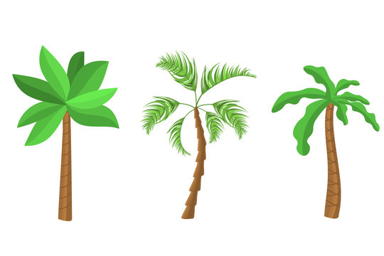 Decorative palm trees icons set. Flat cartoon palms on white background. Miami trees, coconut palm or exotic hawaii forest green tree.