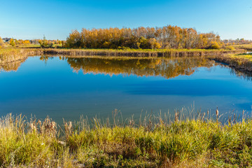 Donna L. Birkmaier Park