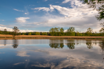 Biosphärenreservat Oberlausitzer Heide- und Teichlandschaft- Teichgebiet Mönau