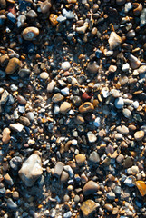 pebbles on the beach
