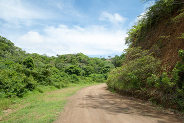 Roatan Island Countryside Road