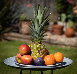 Plate of fruit in the garden