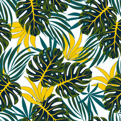 Botanical seamless tropical pattern with bright plants and leaves on a white background. Jungle leaf seamless vector floral pattern background. Tropical botanical.Beautiful exotic plants. 