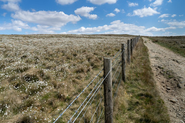 Fototapeta na wymiar White Countryside Moors