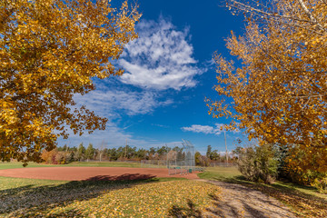 Forest Park