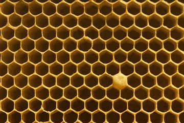 close up image of yellow  beecomb background with empty cells for honey with hexagon shapes,...