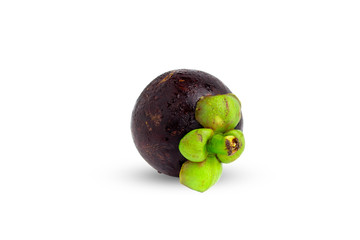 Mangosteens Queen of fruits, mangosteen on isolated white background