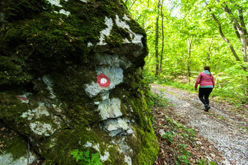 Hiking Nature People