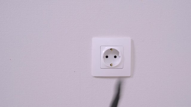 Human points with finger and touches the plug of cord in electrical socket on white wall, smart obedient dachshund dog pulls out wire, turning off device or household appliance, front view, close up.