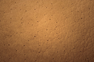  brown leather