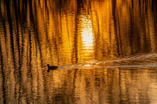 Am Epplesee bei Uhingen