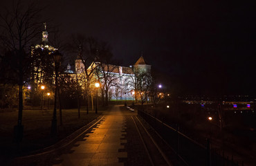 Fototapeta na wymiar Płock- Katedra nocą