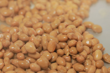 Natto factory and natto dishes.