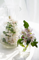 apple blossom in a vase on the windowsill