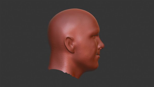 Head Sculpting. Face Skin detail painting 3D computer generated graphics. High resolution polygons CGI Animation. Isolated close-up. - Powered by Adobe