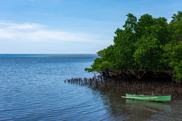 Bunaken Island Sulawesi ManadoIndonesia