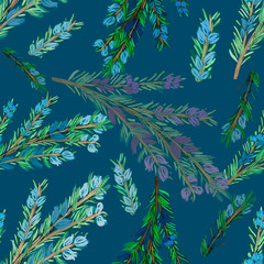 seamless pattern with branches of rosemary or fir on blue background. Drawing. Multicolored. Kitchen, linen,  Christmas, cooking, print, packaging, wallpaper, textile, fabric design
