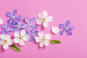 Naklejka na ściany i meble spring flowers on pink background