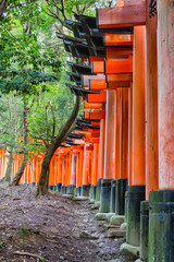 Torii gates in Fushimi Inari Shrine, Kyoto, Japan