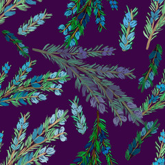 Watercolor rosemary branch with blue flowers and green needles on dark violet background. Seamless pattern. Cooking, kitchen, spices, herbs print, packaging, wallpaper, tableware design