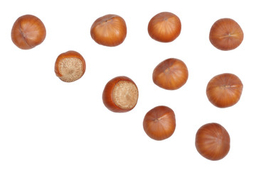 Hazelnuts isolated on white background, top view