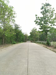 road in the forest