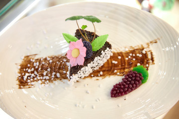 a piece of chocolate cake decorated with white coconut balls