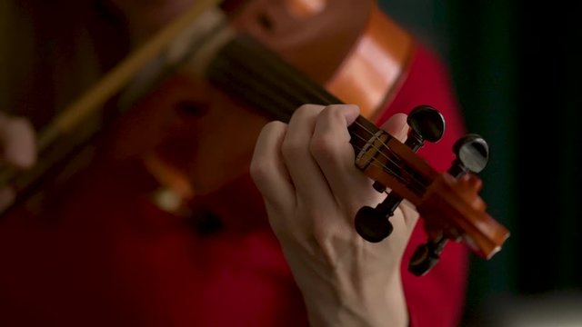 Woman playing the violin. Hands of musician. Close up view. Front view.