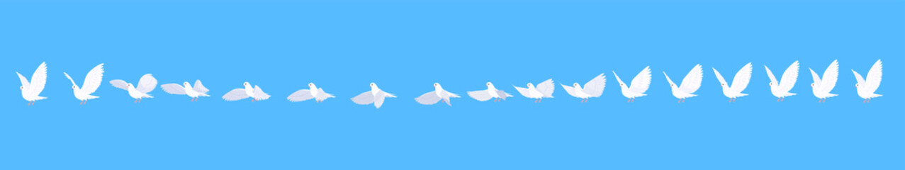 Full cycle animation of the dove.  White pigeon flight sequences.