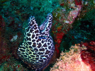 Traveling on the seabed of Thailand