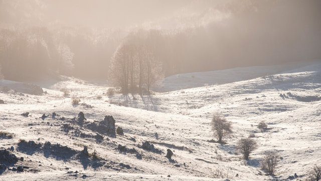 Panoramic view of a valley with snow, Monte Autore, Italy