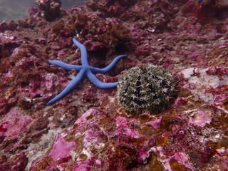 Traveling on the seabed of Thailand