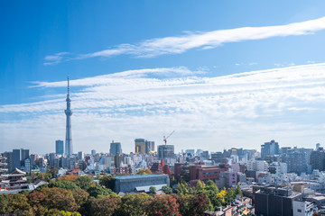 Tokyo skytree, Japan - November 14 2019, Scene with Tourists at Nakamise shopping street in Sensoji Temple, popular places in Tokyo.