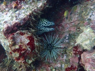Traveling on the seabed of Thailand