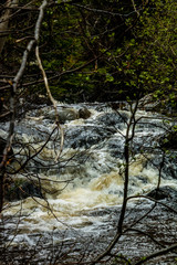 Mattie Mitchell creek, Gros Morne National Park, Newfoundland, Canada